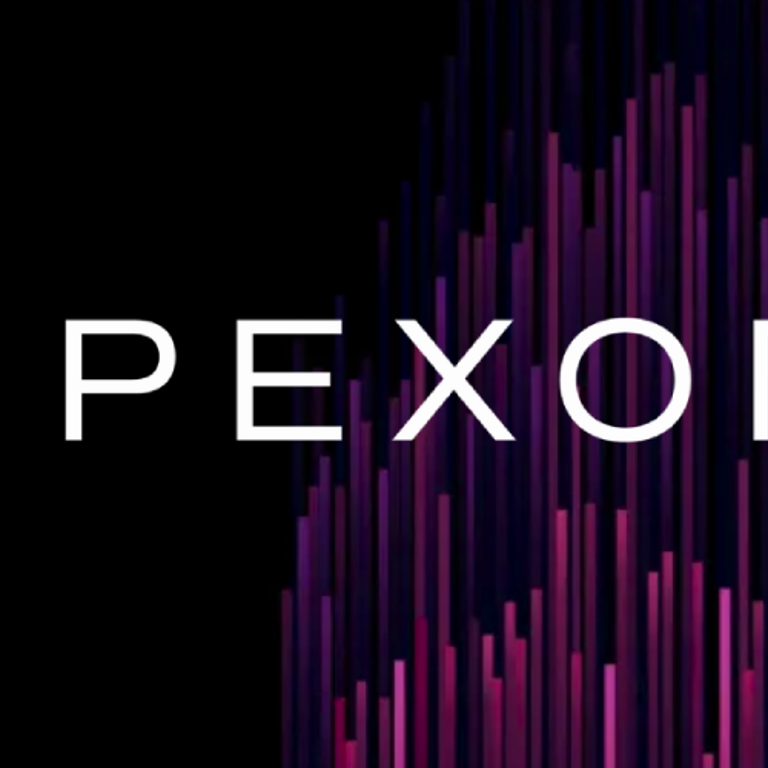 PEXON Consulting Firebrand